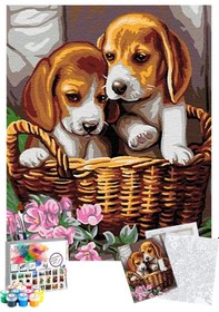 Resim Sayılarla Boyama Seti 40 x 50 CM Tuval Şasesine Gerili Yavru Köpekler 
