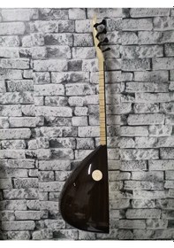 Resim Profesyonel Kısa Sap Nokta Klavyeli Jaklı Kompozit Bağlama 