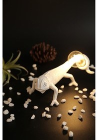 Resim Dekoratif Lamba Tutan Bukalemun Abajur Masa Aydınlatma Dekoru Modern Aydınlatma Ev Dekor 