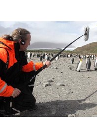 Resim Rode Boom Pole 