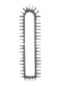 Resim Mil Eğe - 1 Kenarlı Yuvarlak 8 Rm Eğm1k08 