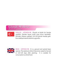 Resim AGRodal Tarım Ata Tohumu Yerli Kuru Fasulye Horoz 50 Ad Tohum 