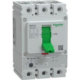 Resim Schneider Electric 3x250A 25KA TMS 175-250A Ayarlı Gopact G25B3A250 