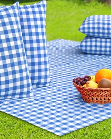 Resim AfgTech Piknik Seti 170x170cm Piti Kareli Piknik Örtüsü, 40x40cm 4 Adet Minder Mavi 
