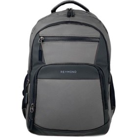Resim Reymond 1931 Trailblazer Serisi Laptop Bölmeli Sırt Çantası - Gri 