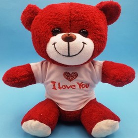 Resim Kırmızı I Love You Tişörtlü Peluş Ayıcık 