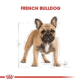 Resim Royal Canin French Bulldog Adult Yetişkin Köpek Maması 3 Kg 