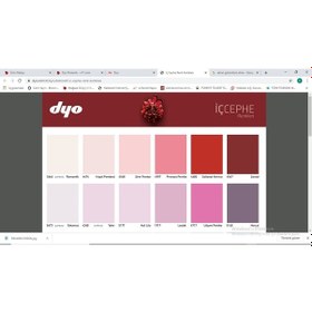 Resim Dyo Beşyıldız Slikonlu Iç Cephe Boyası 20 Kg 