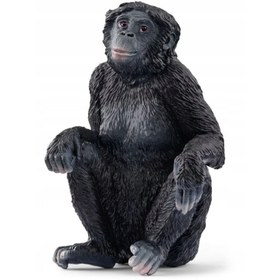 Resim Schleich Bonobo 17088 