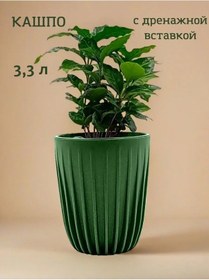 Resim Lıvıngrın Plastik Saksı, 3,3 Litrelik Drenajlı 341628450 