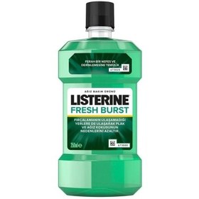 Resim Listerine Fresh Burst Ferah Nane Ağız Bakım Suyu 250 ml 