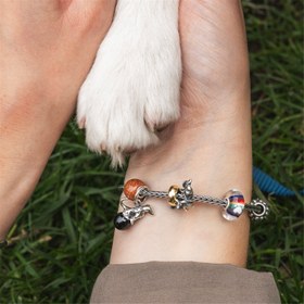 Resim Sınırsız Eğlence 