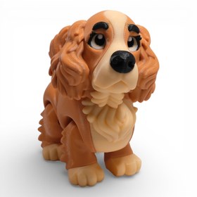 Resim Cocker Spaniel Köpek 