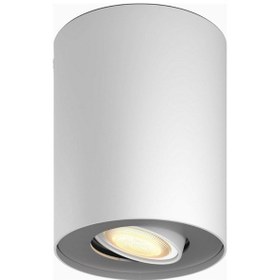 Resim Philips Hue White Ambiance Pillar 1 Spot Extension Akıllı Spot Lamba Akıllı Ampuller Diğer 