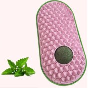 Resim Silikon Kaşıyıcılı Kedi Otu 