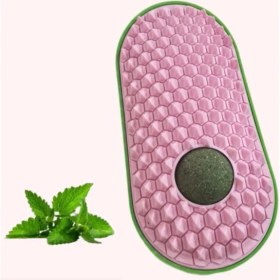 Resim Silikon Kaşıyıcılı Kedi Otu 