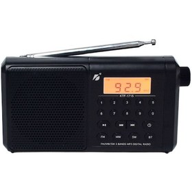 Resim UltraTekno KTF - 1715 Dijital Göstergeli Alarm Saatli El Radyosu 