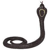 Resim Nature World Stretch Snakes Kahverengi 