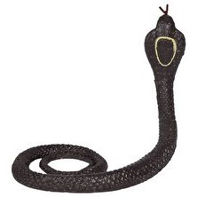 Resim Nature World Stretch Snakes Kahverengi 