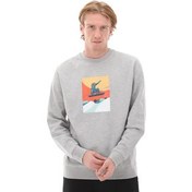 Resim Esqudo Sweatshırt Prınt Erkek Sweatshirt Gri 