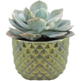 Resim Beton Saksı Silikon Kalıp - 166 