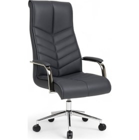 Resim Rt Makam Müdür Koltuğu Yönetici Koltuğu Ofis Koltuğu Büro Koltuğu Antrasit 