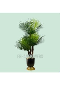 Resim 100 Cm Mini Darbuka Saksıda Sikas Palmiyesi Yeşil 