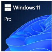 Resim Pazarcan Windows 11 Professional-Elektroniklisans 