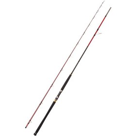 Resim Caretta Vector 295cm 40-120gr Shore Jigging Kamışı 