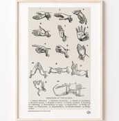 Resim Eller, Poster 