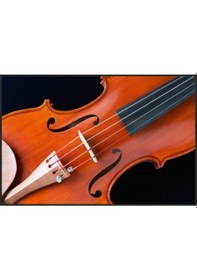 Resim Pagannini Vg200-H Kare Kutulu Gül Aksamlı Tam Boy Keman Seti 