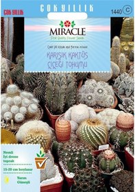 Resim Miracle Karışık Kaktüs Bitkileri Çiçeği Tohumu 9000 Tohum 