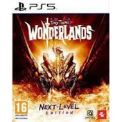 Resim PlayStation 5 Oyunu Tiny Tina's WonderLands Çince/İngilizce 