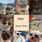 Resim Köpek Kedi Moda Gözlükleri Köpek Moda Gözlükleri Tuhaf ve Yakışıklı Bir Aksesuardır 
