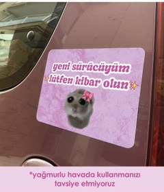 Resim moontainills Üzgün Hamster Pembe Araba Magneti 