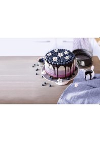 Resim Kaiser La Forme Plus Kelepçeli Kek Kalıbı 26Cm 