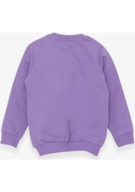 Resim Breeze Kız Çocuk Sweatshirt Ayıcık Aksesuarlı 1.5-5 Yaş, Eflatun (556838414) Çok Renkli 