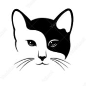 Resim Bıyıklı Kedi Sticker 10 X 10 Cm 