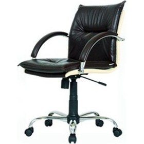 Resim Koltukstilim Prestij Toplantı Şef Koltuğu Diğer 