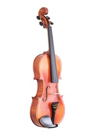 Resim Carlovy Vla6 - 4/4 Keman 