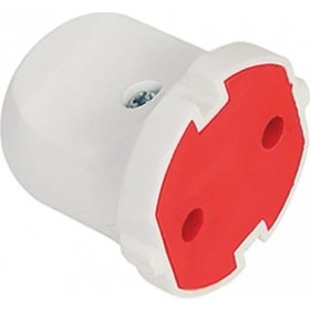 Resim Orel Topraksız Dişi Fiş 