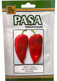 Resim Paşa Tohumculuk Biber Tohumu Yalova Salçalık Yağlık 10gr Paket 1 Paket 