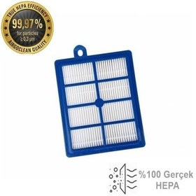 Resim Philips FC 9238 Marathon Süpürge Hepa 13 Filtre (A Kalite) 