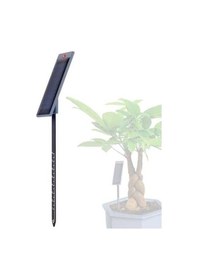 Resim Pazly Uygun Tüm Toprak Solar Sensörü: Otomatik Nem Kullanımı Kolay, İçin Enerjili, Bitkiler Cn 