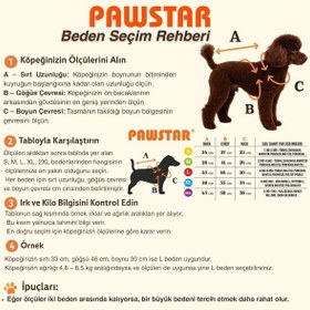 Resim Bej Teddywood Ayıcık Nakışlı Esnek Sıcak Tutan Köpek Sweati Köpek Kıyafeti Kedi Kıyafeti 