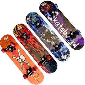 Resim Bermuda Desenli Kaykay Orta Boy Fj809 Çok Renkli 