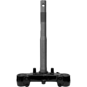 Resim Zenzero Alt Platin 