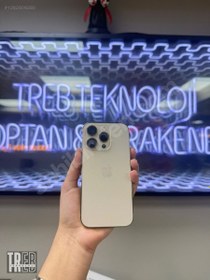 Resim Apple iPhone 14 Pro İkinci El TR | 256 GB | Altın 