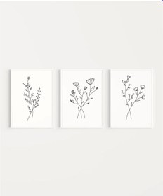 Resim Çerçevesiz Poster Organik Çizgi Sanatı 3'lü 