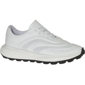 Resim Franco Fortini Sneaker 